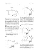 TEMPLATED MOLECULES AND METHODS FOR USING SUCH MOLECULES diagram and image