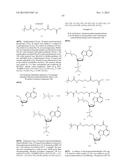 TEMPLATED MOLECULES AND METHODS FOR USING SUCH MOLECULES diagram and image