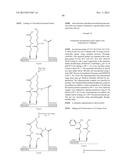 TEMPLATED MOLECULES AND METHODS FOR USING SUCH MOLECULES diagram and image