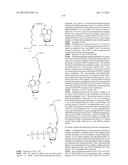 TEMPLATED MOLECULES AND METHODS FOR USING SUCH MOLECULES diagram and image