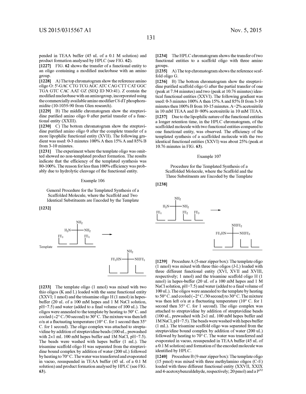 TEMPLATED MOLECULES AND METHODS FOR USING SUCH MOLECULES - diagram, schematic, and image 232