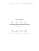 TEMPLATED MOLECULES AND METHODS FOR USING SUCH MOLECULES diagram and image