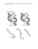 TEMPLATED MOLECULES AND METHODS FOR USING SUCH MOLECULES diagram and image