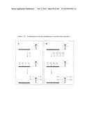 TEMPLATED MOLECULES AND METHODS FOR USING SUCH MOLECULES diagram and image