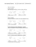 TEMPLATED MOLECULES AND METHODS FOR USING SUCH MOLECULES diagram and image