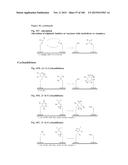 TEMPLATED MOLECULES AND METHODS FOR USING SUCH MOLECULES diagram and image