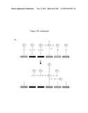 TEMPLATED MOLECULES AND METHODS FOR USING SUCH MOLECULES diagram and image