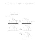 TEMPLATED MOLECULES AND METHODS FOR USING SUCH MOLECULES diagram and image