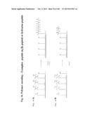 TEMPLATED MOLECULES AND METHODS FOR USING SUCH MOLECULES diagram and image