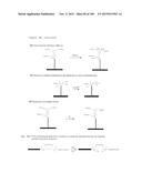 TEMPLATED MOLECULES AND METHODS FOR USING SUCH MOLECULES diagram and image