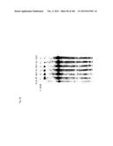 TEMPLATED MOLECULES AND METHODS FOR USING SUCH MOLECULES diagram and image