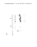 TEMPLATED MOLECULES AND METHODS FOR USING SUCH MOLECULES diagram and image