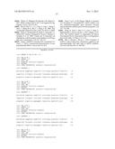 PRODUCTION OF STABLE NON-POLYADENYLATED RNAS diagram and image