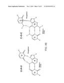 PRODUCTION OF STABLE NON-POLYADENYLATED RNAS diagram and image