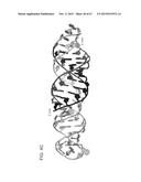 PRODUCTION OF STABLE NON-POLYADENYLATED RNAS diagram and image