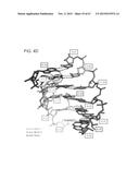 PRODUCTION OF STABLE NON-POLYADENYLATED RNAS diagram and image