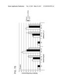 PRODUCTION OF STABLE NON-POLYADENYLATED RNAS diagram and image