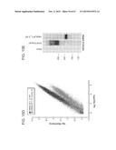 PRODUCTION OF STABLE NON-POLYADENYLATED RNAS diagram and image