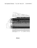 METHODS OF INHIBITING CANCER STEM CELLS WITH HMGA1 INHIBITORS diagram and image