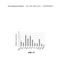 METHODS OF INHIBITING CANCER STEM CELLS WITH HMGA1 INHIBITORS diagram and image