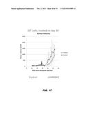 METHODS OF INHIBITING CANCER STEM CELLS WITH HMGA1 INHIBITORS diagram and image