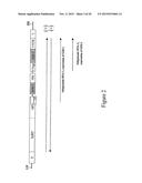 PRODUCTIONS OF HETERO-OLIGOMERIC PROTEINS IN PLANTS diagram and image