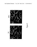 PRODUCTIONS OF HETERO-OLIGOMERIC PROTEINS IN PLANTS diagram and image