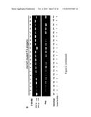 MUTATED NUCLEOTIDE MOLECULE, AND TRANSFORMED PLANT CELLS AND PLANTS     COMPRISING THE SAME diagram and image