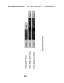 MUTATED NUCLEOTIDE MOLECULE, AND TRANSFORMED PLANT CELLS AND PLANTS     COMPRISING THE SAME diagram and image