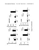 MUTATED NUCLEOTIDE MOLECULE, AND TRANSFORMED PLANT CELLS AND PLANTS     COMPRISING THE SAME diagram and image