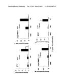 MUTATED NUCLEOTIDE MOLECULE, AND TRANSFORMED PLANT CELLS AND PLANTS     COMPRISING THE SAME diagram and image