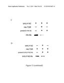 MUTATED NUCLEOTIDE MOLECULE, AND TRANSFORMED PLANT CELLS AND PLANTS     COMPRISING THE SAME diagram and image