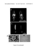 MUTATED NUCLEOTIDE MOLECULE, AND TRANSFORMED PLANT CELLS AND PLANTS     COMPRISING THE SAME diagram and image