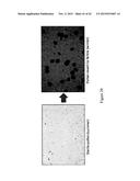 MUTATED NUCLEOTIDE MOLECULE, AND TRANSFORMED PLANT CELLS AND PLANTS     COMPRISING THE SAME diagram and image