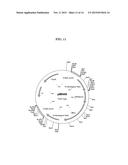 YEAST CELLS HAVING DISRUPTED PATHWAY FROM DIHYDROXYACETONE PHOSPHATE TO     GLYCEROL diagram and image