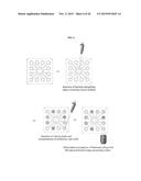 RAPID ANTIBIOTIC SUSCEPTIBILITY TESTING SYSTEM BASED ON BACTERIAL     IMMOBILIZATION USING GELLING AGENT, ANTIBIOTIC DIFFUSION AND TRACKING OF     SINGLE BACTERIAL CELLS diagram and image