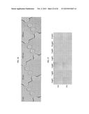 RAPID ANTIBIOTIC SUSCEPTIBILITY TESTING SYSTEM BASED ON BACTERIAL     IMMOBILIZATION USING GELLING AGENT, ANTIBIOTIC DIFFUSION AND TRACKING OF     SINGLE BACTERIAL CELLS diagram and image