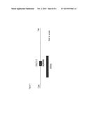 NON-INVASIVE DETECTION OF BLADDER CANCER BY FLOURESCENCE IN SITU     HIBRIDIZATION OF AURORA A diagram and image