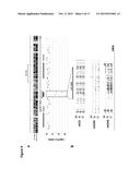 MANTLE PHENOTYPE DETECTION IN PALM diagram and image