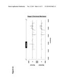 MANTLE PHENOTYPE DETECTION IN PALM diagram and image