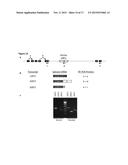 MANTLE PHENOTYPE DETECTION IN PALM diagram and image