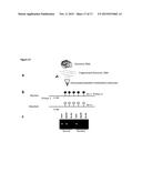 MANTLE PHENOTYPE DETECTION IN PALM diagram and image