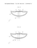 LED LAMP WITH LIGHT-DIFFUSING END CAP diagram and image