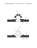 DEVICE FOR TURNING, MIXING AND TRANSPORTING PARTIALLY DRIED MATERIAL TO BE     DRIED OR DRIED MATERIAL diagram and image