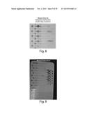 DEVICE AND METHODS FOR DETECTION OF ANALYTES INCLUDING USE OF A     COLORIMETRIC BARCODE diagram and image