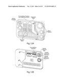 DEVICE AND METHODS FOR DETECTION OF ANALYTES INCLUDING USE OF A     COLORIMETRIC BARCODE diagram and image