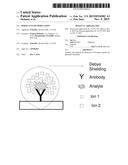 DEBYE LENGTH MODULATION diagram and image