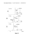 MATERIALS FOR HYDROPHILIC INTERACTION CHROMATOGRAPHY AND PROCESSES FOR     PREPARATION AND USE THEREOF FOR ANALYSIS OF GLYCOPROTEINS AND     GLYCOPEPTIDES diagram and image