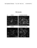 Micropillar Arrays for Assaying Myelination diagram and image