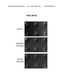 Micropillar Arrays for Assaying Myelination diagram and image